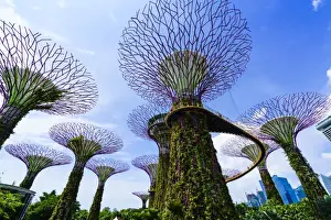 Supertree Grove in the Gardens by the Bay, a futuristic botanical gardens and park