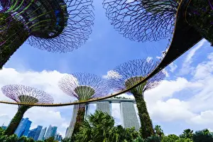Supertree Grove in the Gardens by the Bay, a futuristic botanical gardens and park