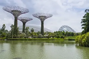 Supertree Grove in the Gardens by the Bay, a futuristic botanical gardens and park
