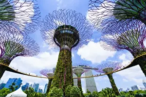 Supertree Grove in the Gardens by the Bay, a futuristic botanical gardens and park