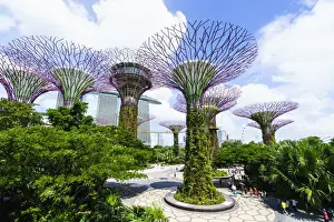 South East Asian Prints: Supertree Grove in the Gardens by the Bay, a futuristic botanical gardens and park