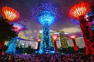 Supertree Grove in the Gardens by the Bay, a futuristic botanical gardens and park