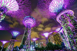 Glowing Prints: Supertree Grove in the Gardens by the Bay, a futuristic botanical gardens and park