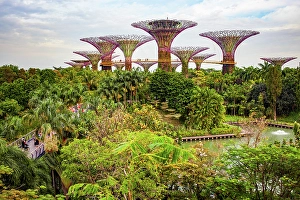 Innovation Prints: Supertrees in Gardens by the Bay, Singapore