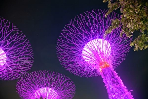 Innovation Prints: Supertrees illuminated for light show in Gardens by the Bay, Singapore