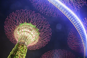 Show Prints: Supertrees illuminated for light show in Gardens by the Bay, Singapore