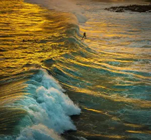 Kauai Prints: A surfer catches a wave in the golden reflections of the sunset on the south shore of