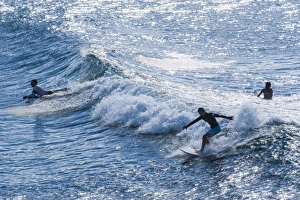 Surfboard Prints: Surfers at the Hookipa Beach Park, Paai, Maui, Hawaii, United States of America, Pacific