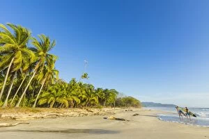 Costa Rica Gallery: Surfers on Playa Santa Teresa, a southern surf beach near Mal Pais, Nicoya Peninsula