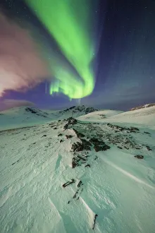 Arctic Gallery: Surreal shapes of the Northern Lights (Aurora Borealis) in the Arctic night, Skarsvag