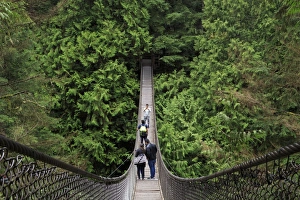 Canadian Culture Prints: Suspension bridge, Lynn Canyon Park, Vancouver, British Columbia, Canada, North America