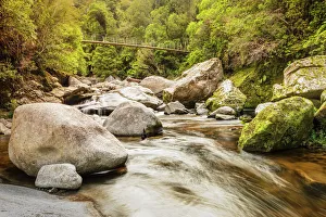 Flowing Water Prints: Suspension Bridge over Wainui River, Wainui Falls Track, Golden Bay, Tasman, South Island