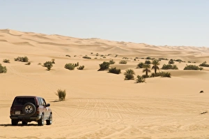 Off Road Vehicle Prints: SUV near Mafu lake
