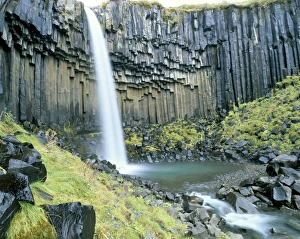 Svartifoss Prints: Svartifoss waterfall