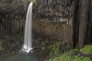 Svartifoss Prints: Svartifoss waterfall with basalt columns in Skaftafell National Park