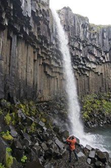 Images Dated 6th June 2009: Svartifoss waterfall, Skaftafell National Park, Iceland, Polar Regions