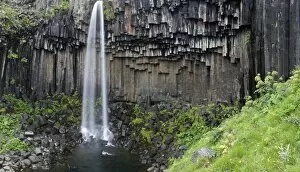 Images Dated 28th July 2010: Svartifoss Waterfall, Skaftafell National Park, Iceland, Polar Regions