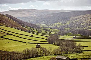 Rolling Landscape Prints: Swaledale, North Yorkshire, Yorkshire, England, United Kingdom, Europe