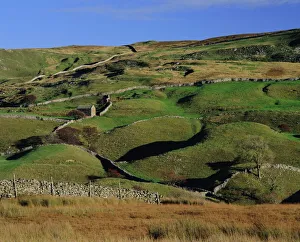 Tough Prints: Swaledale, Yorkshire Dales National Park, Yorkshire, England, UK, Europe