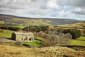 Yorkshire Prints: Swaledale, Yorkshire Dales, North Yorkshire, Yorkshire, England, United Kingdom, Europe