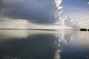 Seascapes Prints: Swallow Caye Wildlife sanctuary, Belize, Central America