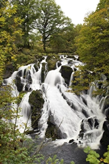 Cascading Prints: Swallow Falls in autumn, near Betwys-y-Coed, on River Llugwy, Conwy, Wales, United Kingdom