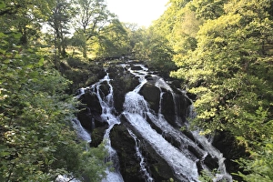 Cascading Prints: Swallow Falls, Waterfall, Afon Llugwy River, near Betws-y-Coed, North Wales, Wales