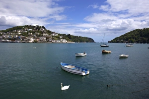 Dartmouth Prints: Swan and boats in the River Dart estuary in Dartmouth, Devon, England, United Kingdom