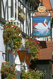 Sign Prints: The Swan pub, Walton on Thames, Surrey, England, United Kingdom, Europe