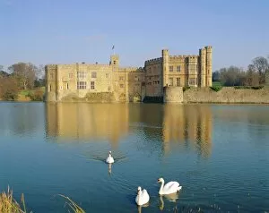 Kent Collection: Swans in front of Leeds Castle, Kent, England