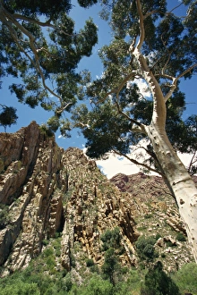 Karoo Prints: Swartberg Pass rock formation