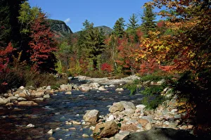 Fall Prints: The Swift River in autumn (fall)