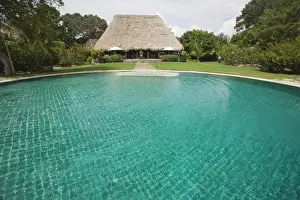 Hotels Prints: Swimming pool at The Turtle Inn, Francis Ford-Cappolas beach front hotel