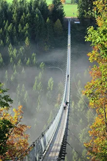 Pedestrian Bridge Prints: Swing Bridge Geierlay, Moersdorf, Hunsrueck, Rhineland-Palatinate, Germany, Europe