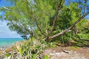 Bermuda Prints: Swing at Glass Beach in Sandys Parish, Bermuda