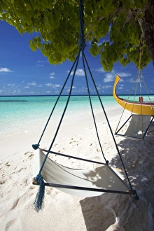 Hammock Prints: Swing and traditional boat on tropical beach, Maldives, Indian Ocean, Asia