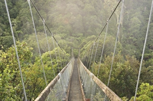 Lush Gallery: Swingbridge, Motu Falls, Motu, Gisborne, North Island, New Zealand, Pacific
