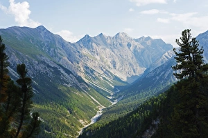 Jagged Prints: Swiss National Park, Engadine, Graubunden, Switzerland, Europe