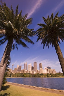 Walk Way Prints: Sydney, New South Wales, Australia, Pacific