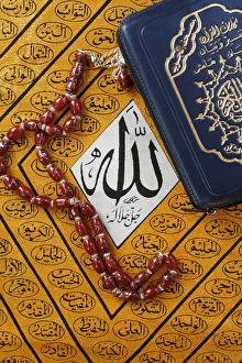 Images Dated 19th April 2007: Symbols of Islam, Paris, France, Europe