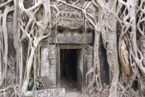 Ta Prohm, Angkor Archaeological Park, UNESCO World Heritage Site, Siem Reap, Cambodia, Indochina, Southeast Asia, Asia