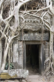 Ta Prohm, Angkor Archaeological Park, UNESCO World Heritage Site, Siem Reap, Cambodia, Indochina, Southeast Asia, Asia