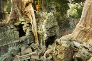 Ta Prohm temple, Angkor, UNESCO World Heritage Site, Siem Reap, Cambodia