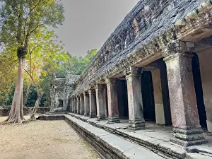 Late 12th Century Prints: Ta Prohm Temple, a Mahayana Buddhist monastery built in the late 12th century for Khmer king Jayavarman VII