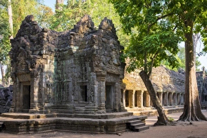 Ta Prohm temple (Rajavihara), Angkor, UNESCO World Heritage Site, Siem Reap Province