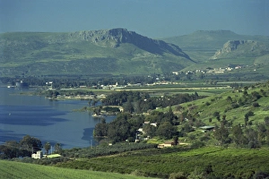 Images Dated 27th February 2008: Tabgha, Sea of Galilee, Israel, Middle East