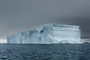 What's New: Tabular iceberg, Larsen C Ice Shelf, Weddell Sea, Antarctica, Polar Regions