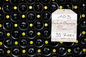 Objects Prints: Taittinger champagne cellar, Reims, Marne, France, Europe