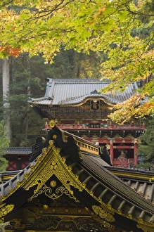 Nikko Prints: Taiyu-in Mausoleum