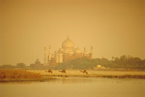 The Taj Mahal